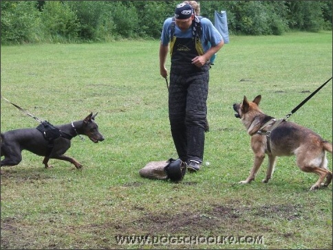 Summer training camp in Estonia 2007